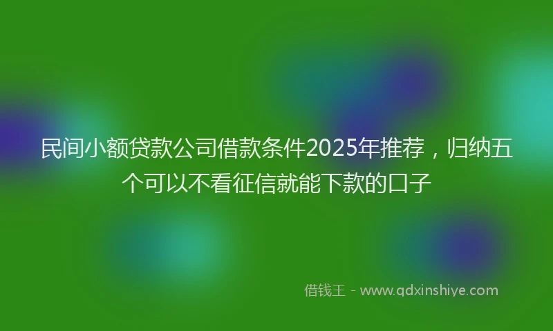民间小额贷款公司借款条件2025年推荐，归纳五个可以不看征信就能下款的口子