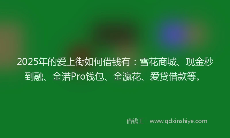 2025年的爱上街如何借钱有：雪花商城、现金秒到融、金诺Pro钱包、金瀛花、爱贷借款等。