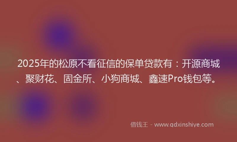 2025年的松原不看征信的保单贷款有：开源商城、聚财花、固金所、小狗商城、鑫速Pro钱包等。