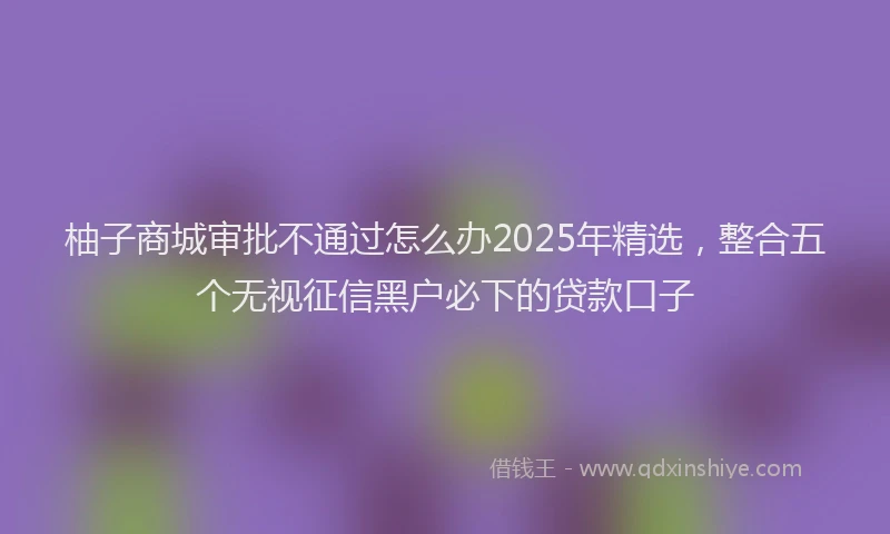 柚子商城审批不通过怎么办2025年精选，整合五个无视征信黑户必下的贷款口子
