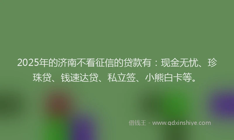 2025年的济南不看征信的贷款有：现金无忧、珍珠贷、钱速达贷、私立签、小熊白卡等。