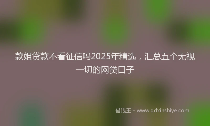 款姐贷款不看征信吗2025年精选，汇总五个无视一切的网贷口子