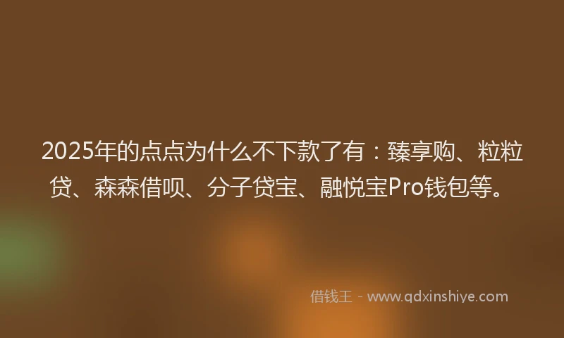 2025年的点点为什么不下款了有：臻享购、粒粒贷、森森借呗、分子贷宝、融悦宝Pro钱包等。