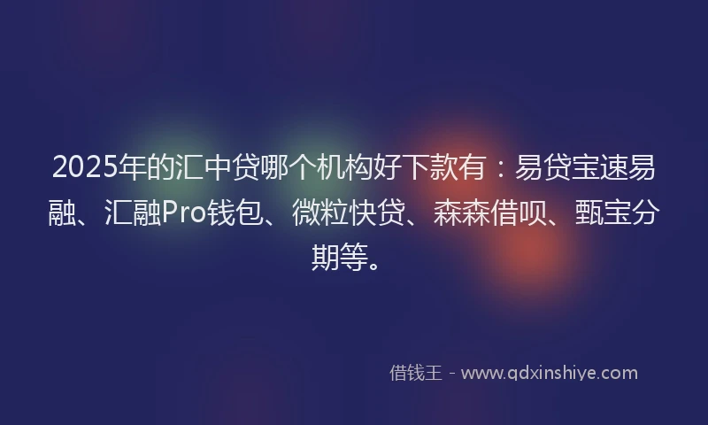 2025年的汇中贷哪个机构好下款有:易贷宝速易融、汇融Pro钱包、微粒快贷、森森借呗、甄宝分期等。