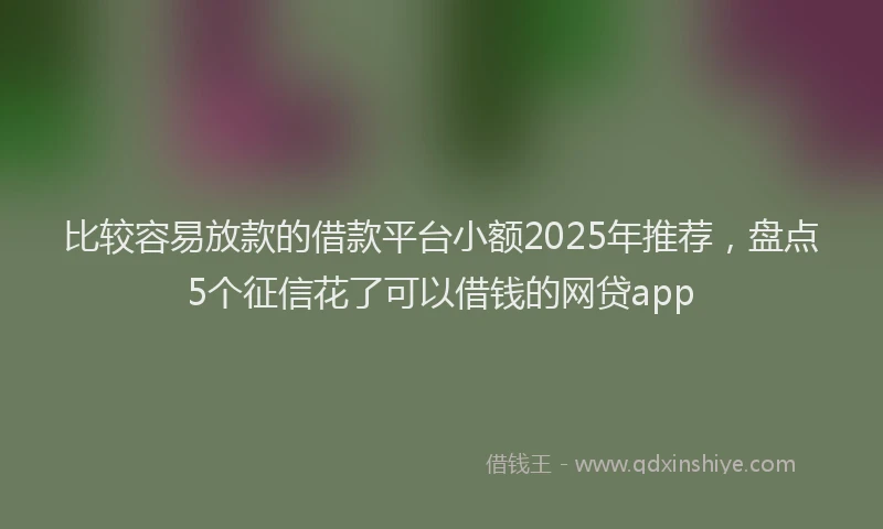 比较容易放款的借款平台小额2025年推荐，盘点5个征信花了可以借钱的网贷app