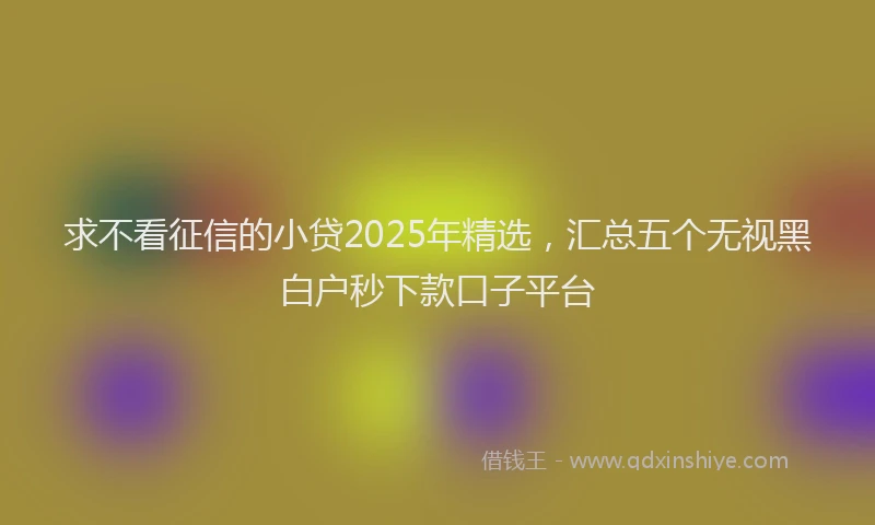 求不看征信的小贷2025年精选，汇总五个无视黑白户秒下款口子平台