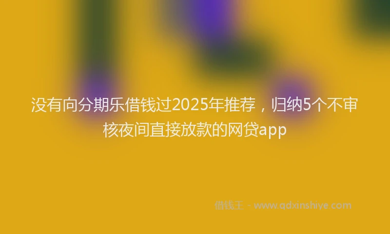 没有向分期乐借钱过2025年推荐，归纳5个不审核夜间直接放款的网贷app
