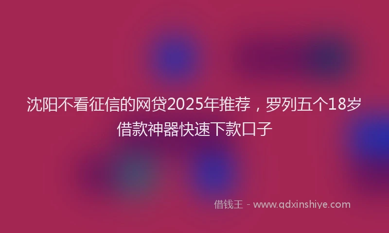 沈阳不看征信的网贷2025年推荐，罗列五个18岁借款神器快速下款口子