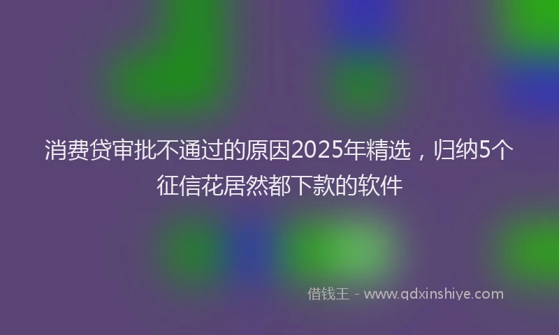 消费贷审批不通过的原因2025年精选，归纳5个征信花居然都下款的软件