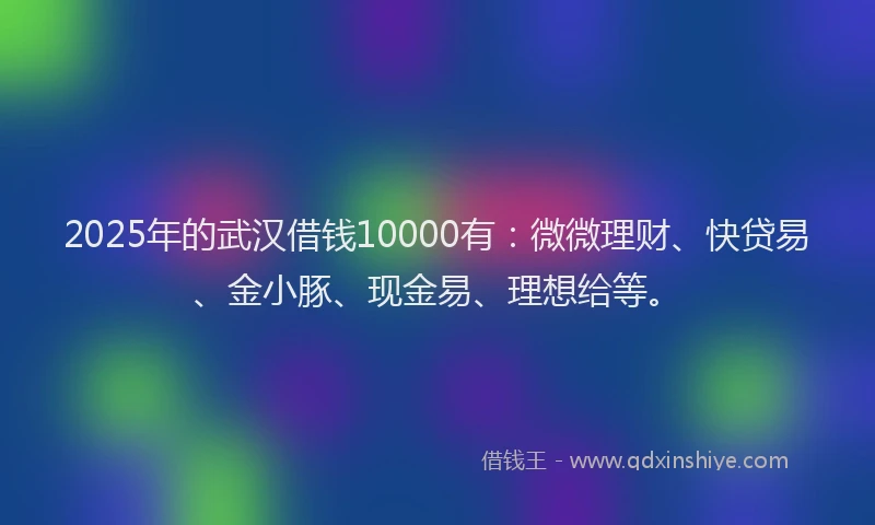 2025年的武汉借钱10000有：微微理财、快贷易、金小豚、现金易、理想给等。