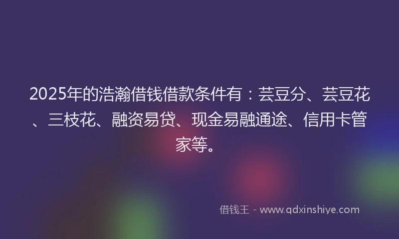 2025年的浩瀚借钱借款条件有：芸豆分、芸豆花、三枝花、融资易贷、现金易融通途、信用卡管家等。