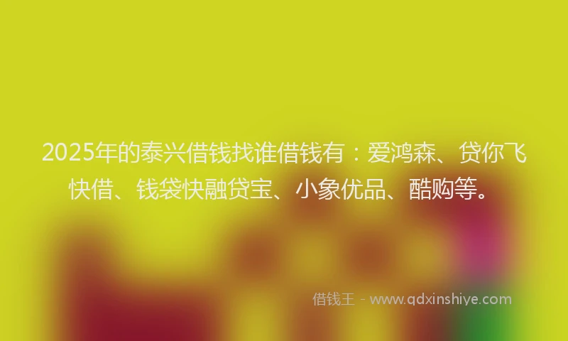 2025年的泰兴借钱找谁借钱有：爱鸿森、贷你飞快借、钱袋快融贷宝、小象优品、酷购等。