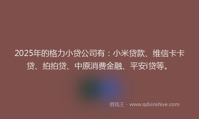 2025年的格力小贷公司有：小米贷款、维信卡卡贷、拍拍贷、中原消费金融、平安i贷等。