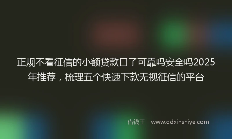 正规不看征信的小额贷款口子可靠吗安全吗2025年推荐，梳理五个快速下款无视征信的平台
