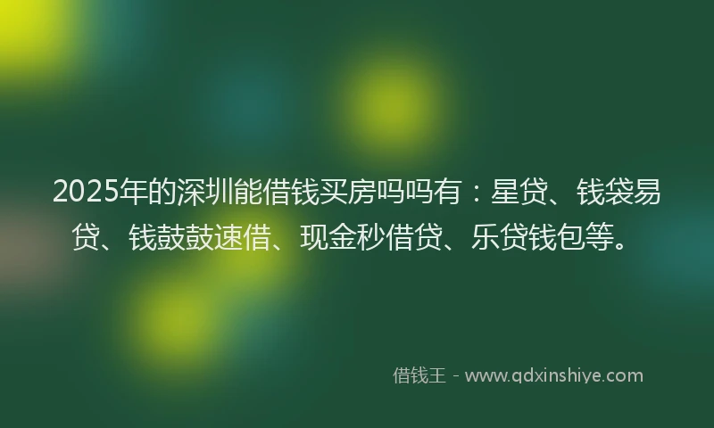 2025年的深圳能借钱买房吗吗有：星贷、钱袋易贷、钱鼓鼓速借、现金秒借贷、乐贷钱包等。