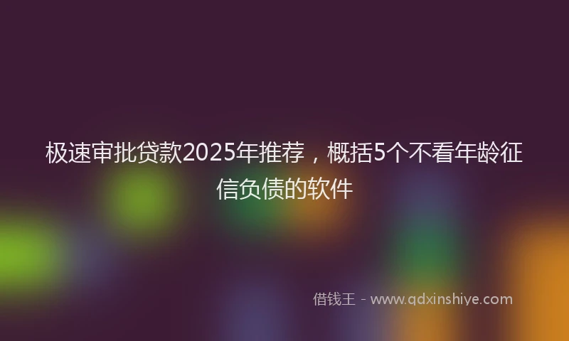 极速审批贷款2025年推荐，概括5个不看年龄征信负债的软件