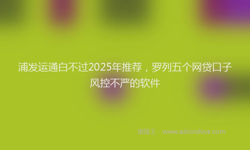 浦发运通白不过2025年推荐,罗列五个网贷口子风控不严的软件
