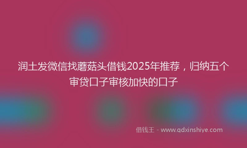 润土发微信找蘑菇头借钱2025年推荐，归纳五个审贷口子审核加快的口子