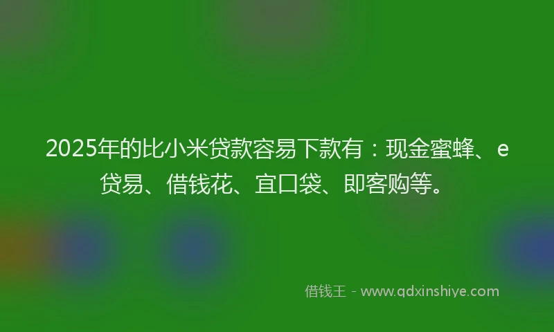 2025年的比小米贷款容易下款有：现金蜜蜂、e贷易、借钱花、宜口袋、即客购等。