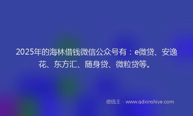2025年的海林借钱微信公众号有：e微贷、安逸花、东方汇、随身贷、微粒贷等。