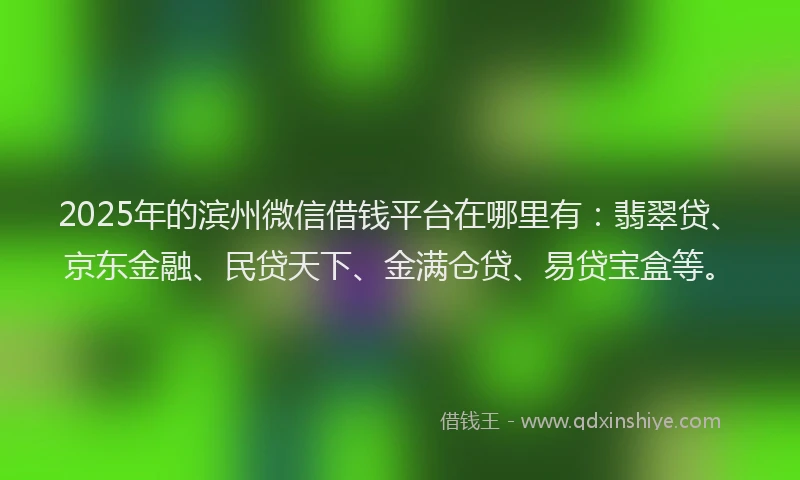 2025年的滨州微信借钱平台在哪里有：翡翠贷、京东金融、民贷天下、金满仓贷、易贷宝盒等。