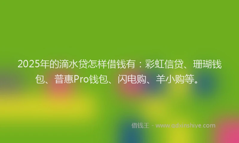2025年的滴水贷怎样借钱有：彩虹信贷、珊瑚钱包、普惠Pro钱包、闪电购、羊小购等。