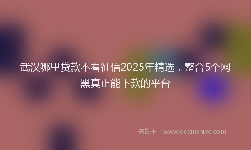 武汉哪里贷款不看征信2025年精选，整合5个网黑真正能下款的平台