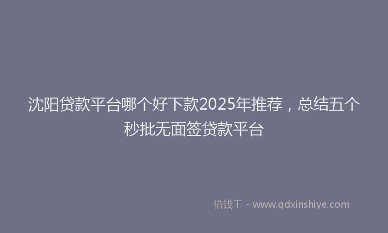 沈阳贷款平台哪个好下款2025年推荐，总结五个秒批无面签贷款平台