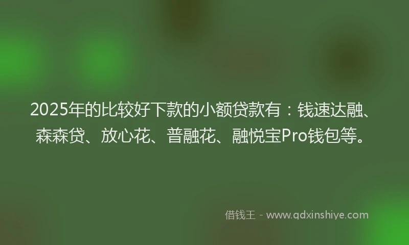 2025年的比较好下款的小额贷款有：钱速达融、森森贷、放心花、普融花、融悦宝Pro钱包等。