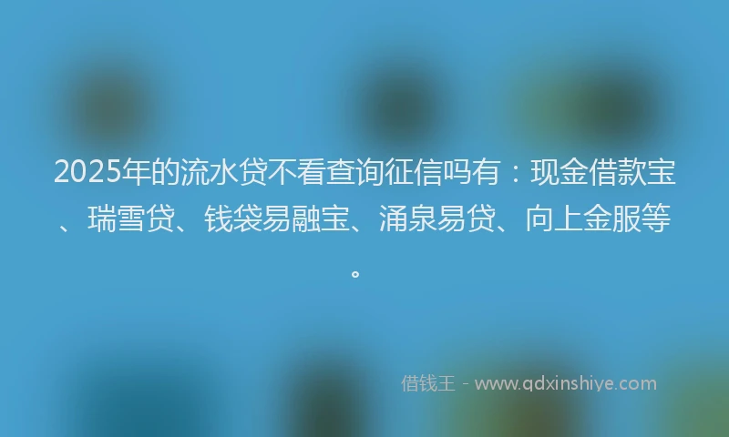 2025年的流水贷不看查询征信吗有：现金借款宝、瑞雪贷、钱袋易融宝、涌泉易贷、向上金服等。
