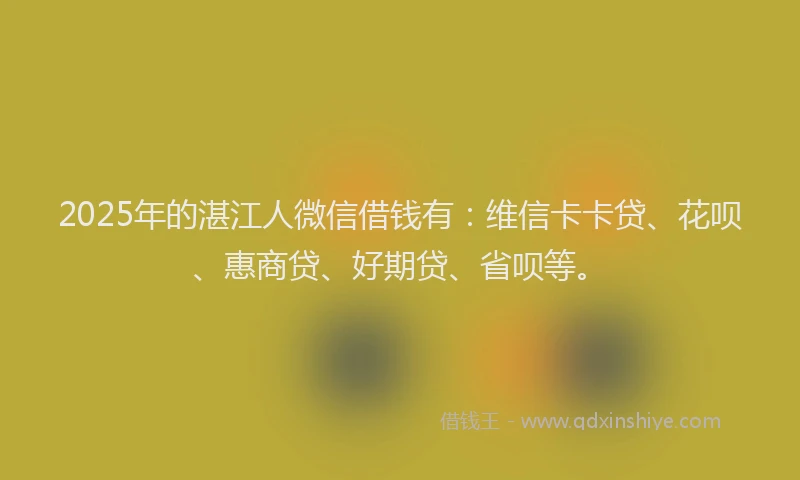 2025年的湛江人微信借钱有：维信卡卡贷、花呗、惠商贷、好期贷、省呗等。