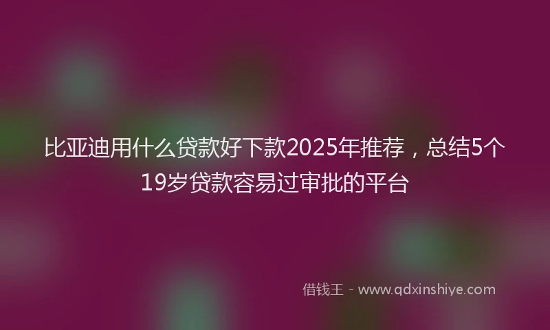 比亚迪用什么贷款好下款2025年推荐，总结5个19岁贷款容易过审批的平台