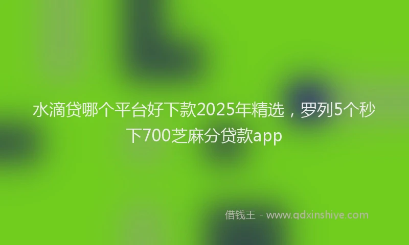 水滴贷哪个平台好下款2025年精选，罗列5个秒下700芝麻分贷款app