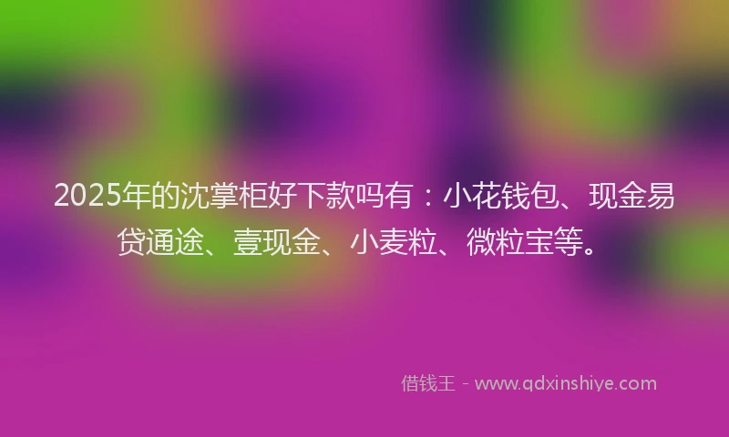 2025年的沈掌柜好下款吗有：小花钱包、现金易贷通途、壹现金、小麦粒、微粒宝等。