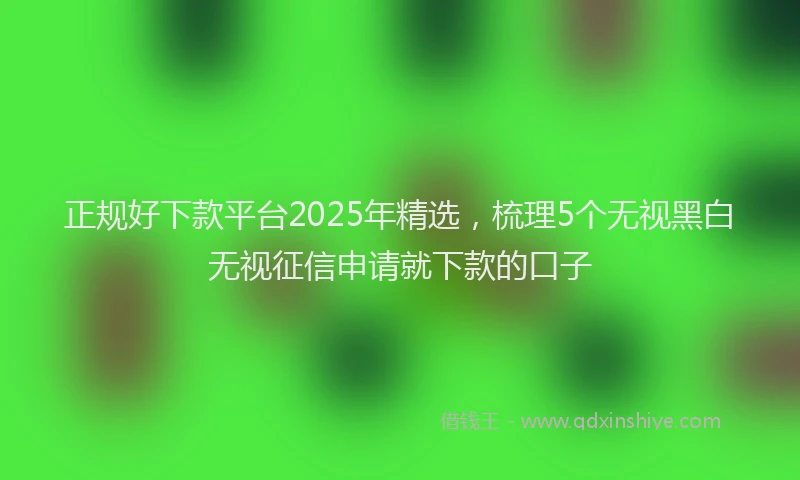 正规好下款平台2025年精选，梳理5个无视黑白无视征信申请就下款的口子