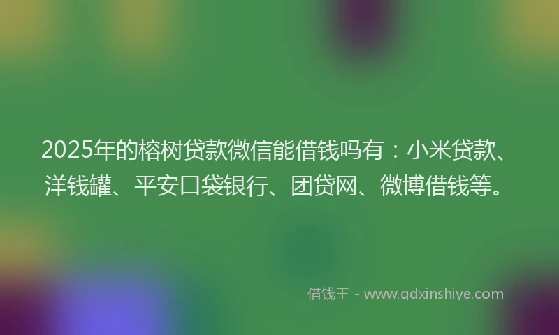 2025年的榕树贷款微信能借钱吗有：小米贷款、洋钱罐、平安口袋银行、团贷网、微博借钱等。