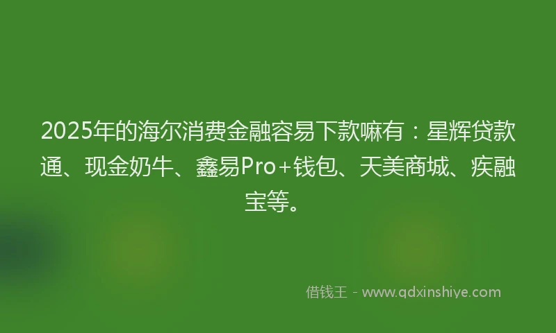 2025年的海尔消费金融容易下款嘛有：星辉贷款通、现金奶牛、鑫易Pro+钱包、天美商城、疾融宝等。