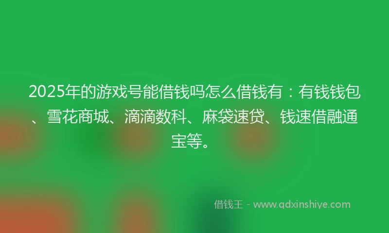 2025年的游戏号能借钱吗怎么借钱有：有钱钱包、雪花商城、滴滴数科、麻袋速贷、钱速借融通宝等。