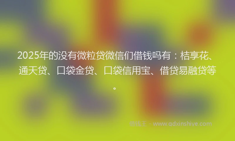 2025年的没有微粒贷微信们借钱吗有：桔享花、通天贷、口袋金贷、口袋信用宝、借贷易融贷等。