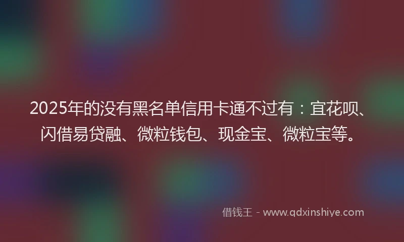 2025年的没有黑名单信用卡通不过有：宜花呗、闪借易贷融、微粒钱包、现金宝、微粒宝等。