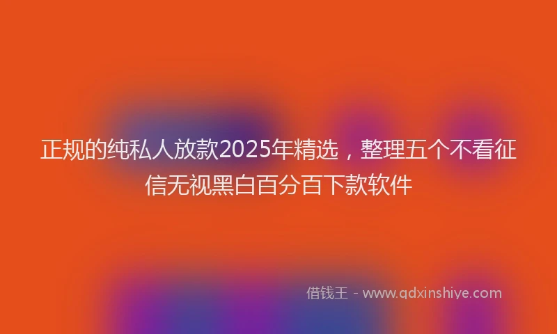 正规的纯私人放款2025年精选，整理五个不看征信无视黑白百分百下款软件