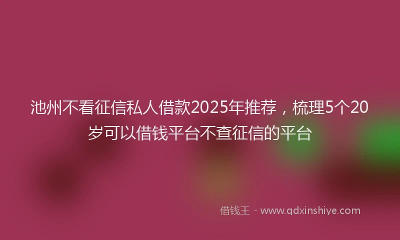 池州不看征信私人借款2025年推荐，梳理5个20岁可以借钱平台不查征信的平台