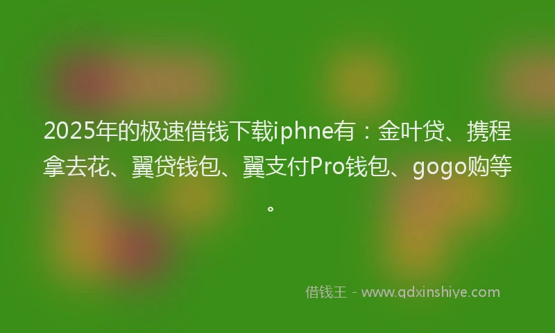2025年的极速借钱下载iphne有：金叶贷、携程拿去花、翼贷钱包、翼支付Pro钱包、gogo购等。