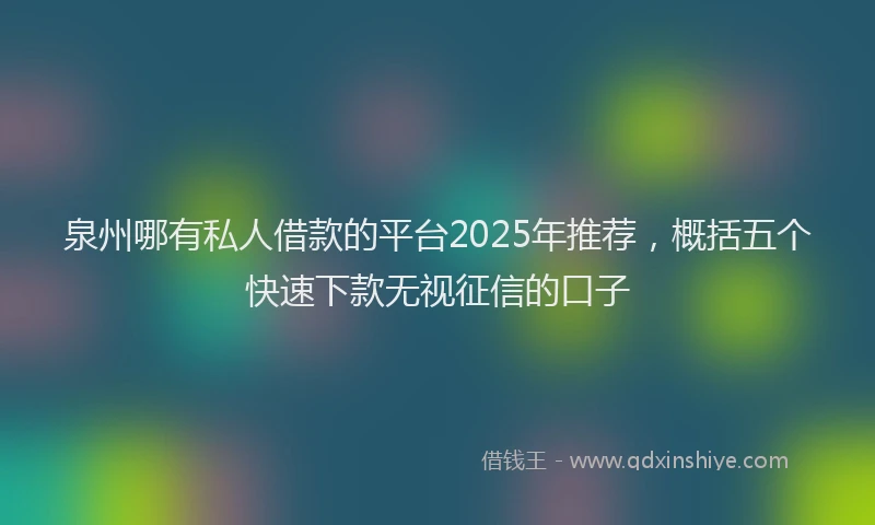 泉州哪有私人借款的平台2025年推荐，概括五个快速下款无视征信的口子