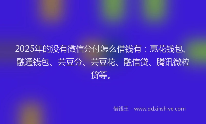 2025年的没有微信分付怎么借钱有：惠花钱包、融通钱包、芸豆分、芸豆花、融信贷、腾讯微粒贷等。