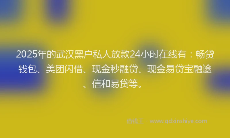 2025年的武汉黑户私人放款24小时在线有：畅贷钱包、美团闪借、现金秒融贷、现金易贷宝融途、信和易贷等。