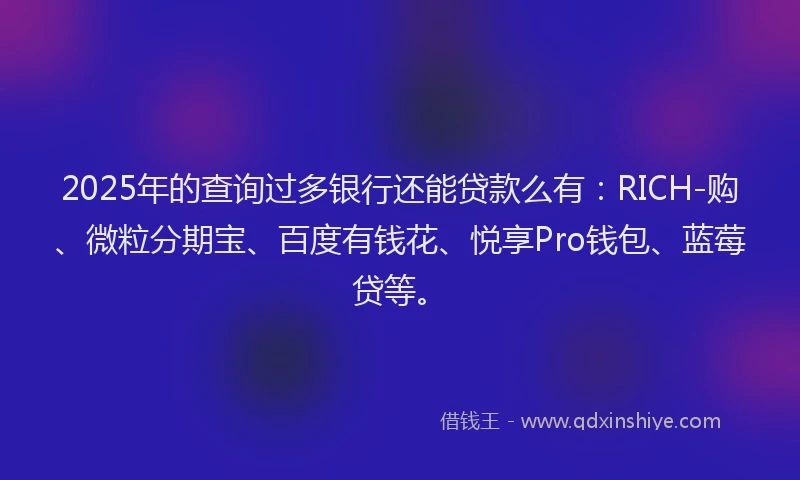 2025年的查询过多银行还能贷款么有：RICH-购、微粒分期宝、百度有钱花、悦享Pro钱包、蓝莓贷等。