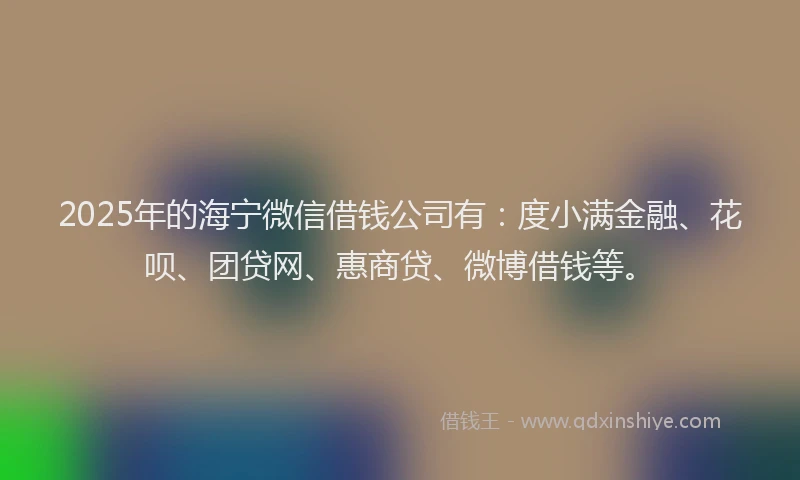 2025年的海宁微信借钱公司有：度小满金融、花呗、团贷网、惠商贷、微博借钱等。
