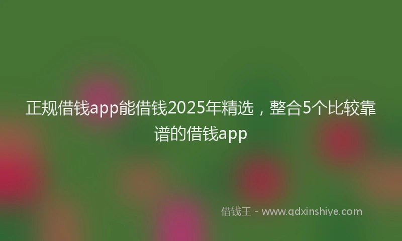 正规借钱app能借钱2025年精选，整合5个比较靠谱的借钱app