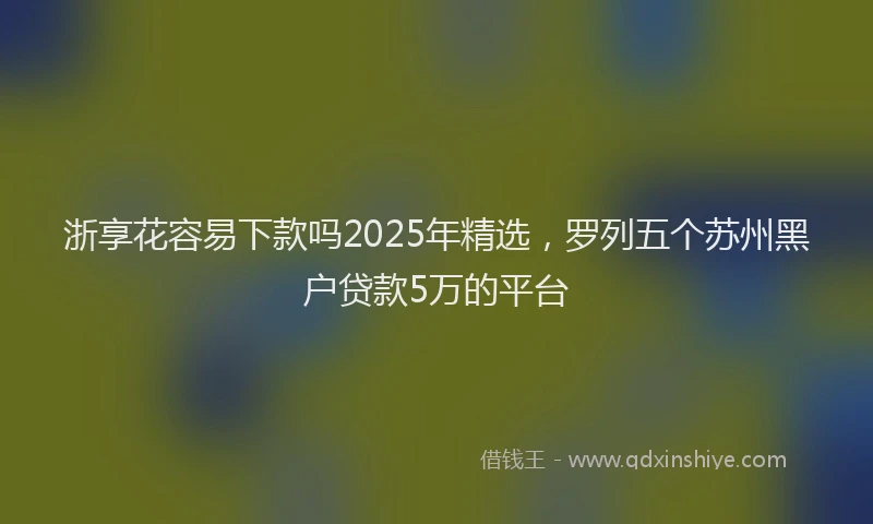 浙享花容易下款吗2025年精选，罗列五个苏州黑户贷款5万的平台